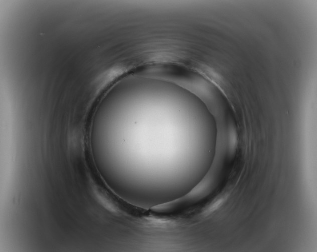 X0000086790530200704201845