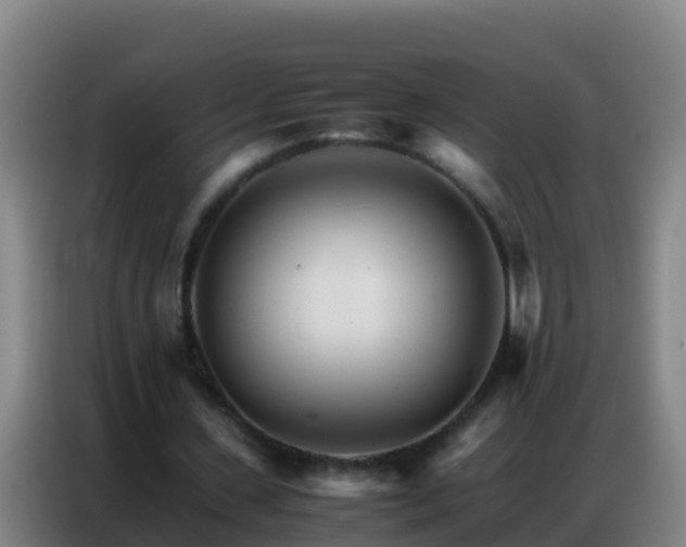 X0000086790531200704201845