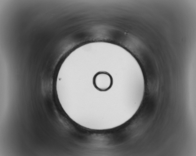 X0000086790534200704201845