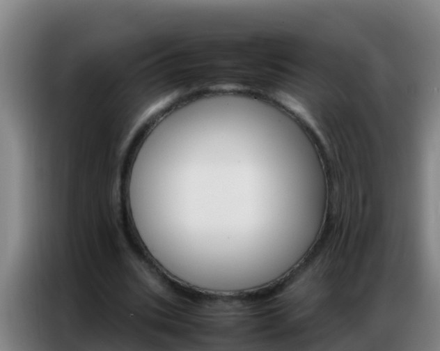 X0000086790535200704201845