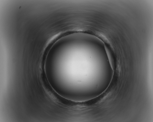 X0000086790536200704201845