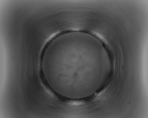 X0000086790540200704201845