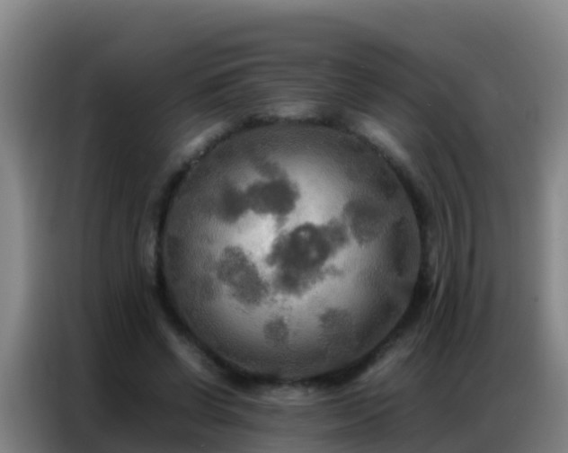 X0000086790542200704201845