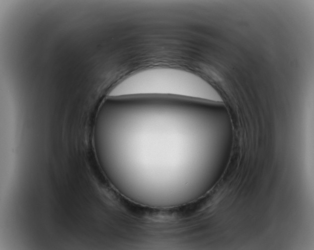 X0000086790546200704201845