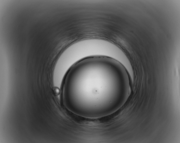 X0000086790548200704201845