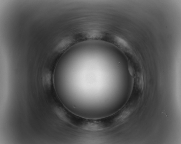 X0000086790550200704201846