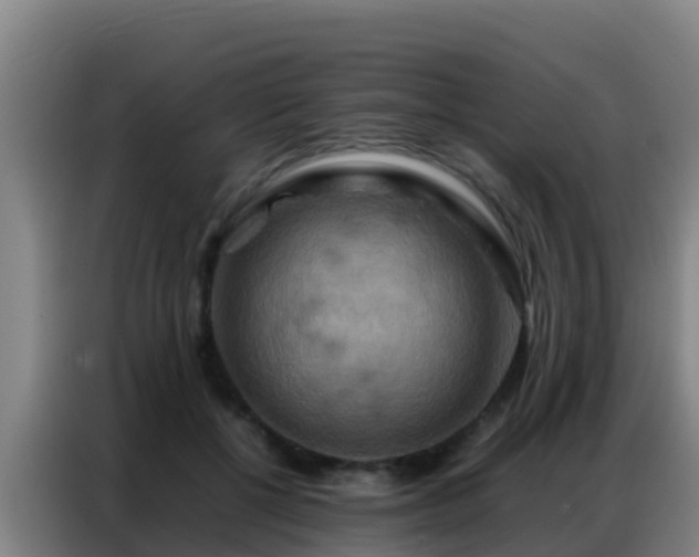 X0000086790552200704201846