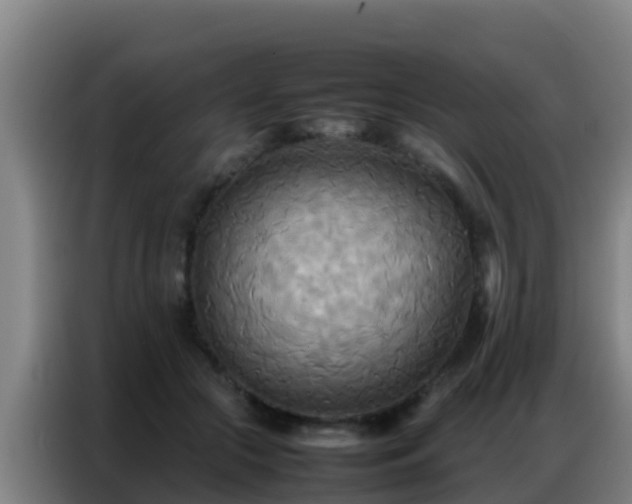 X0000086790553200704201846