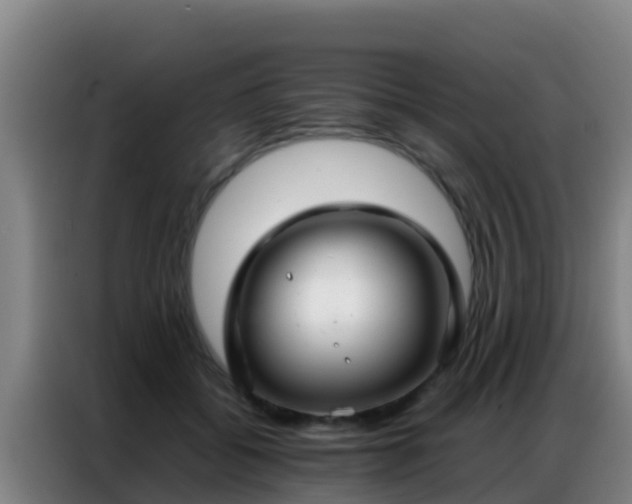 X0000086790556200704201846
