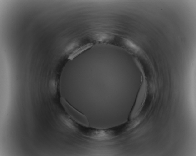 X0000086790558200704201846
