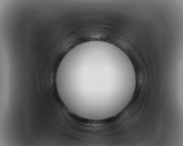 X0000086790559200704201846