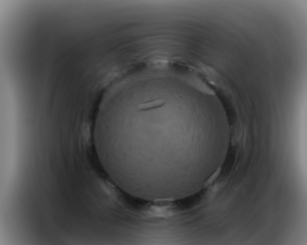 X0000086790560200704201846