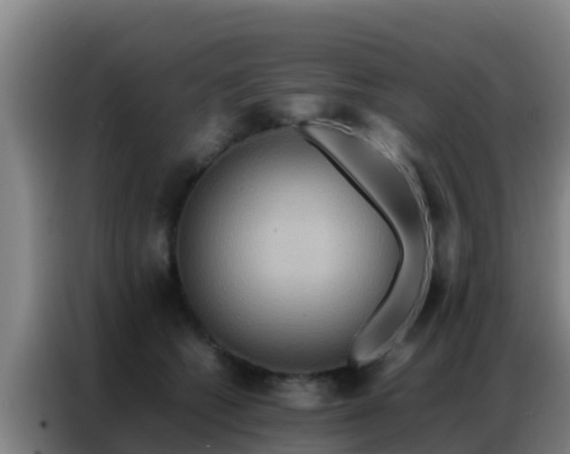 X0000086790562200704201846