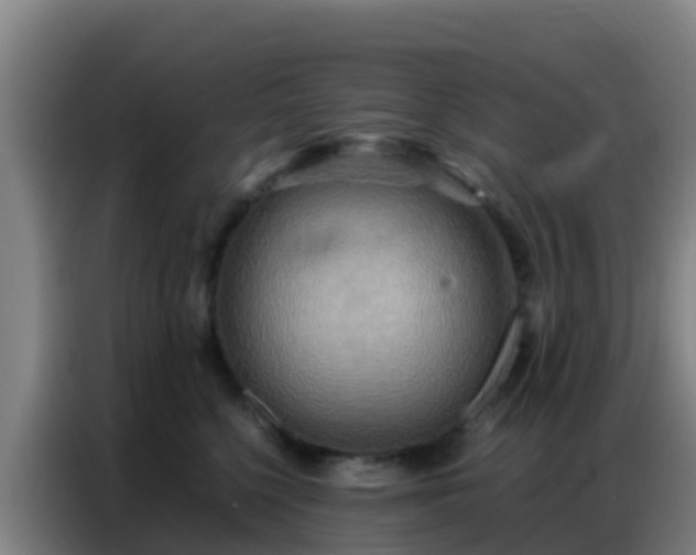 X0000086790568200704201846