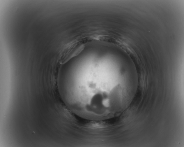 X0000086790569200704201846