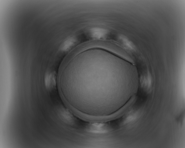 X0000086790570200704201846