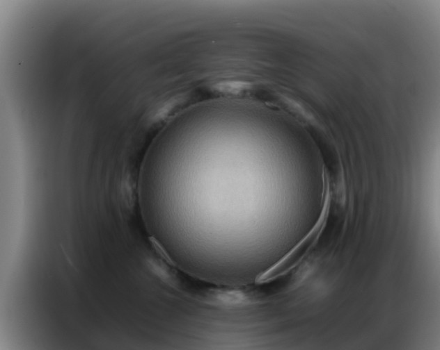 X0000086790572200704201846