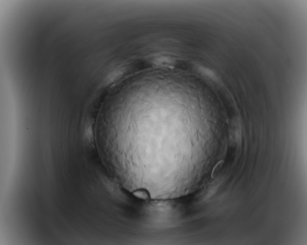 X0000086790573200704201846