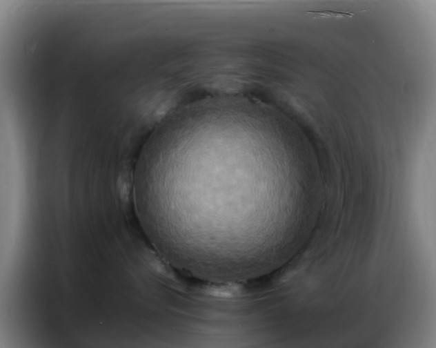 X0000086790576200704201846