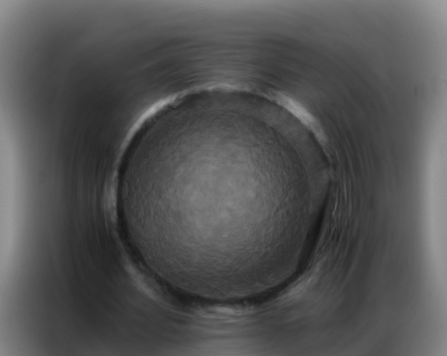X0000086790580200704201845