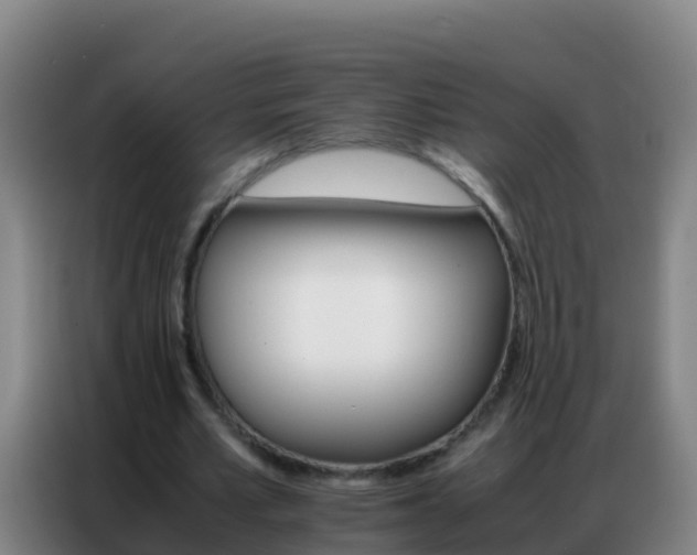 X0000086790581200704201845