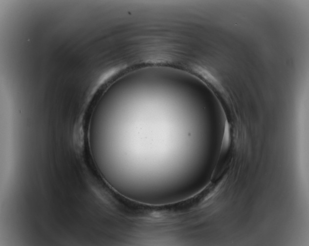 X0000086790584200704201845