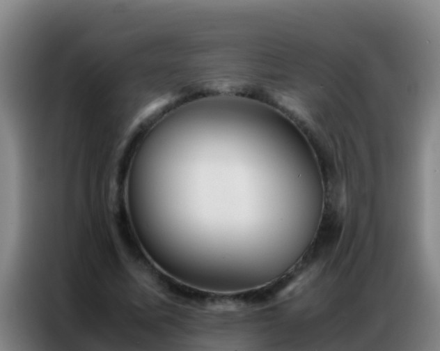 X0000086790587200704201845