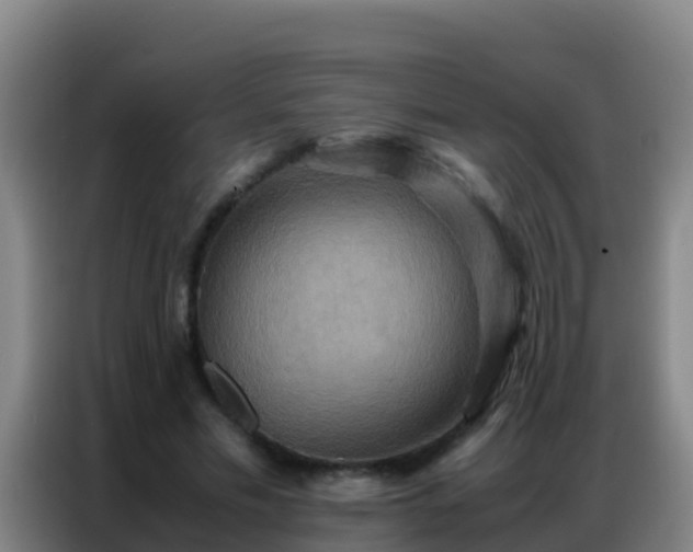 X0000086790589200704201845