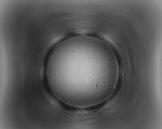 X0000086790591200704201845