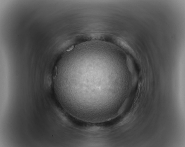X0000086790593200704201845