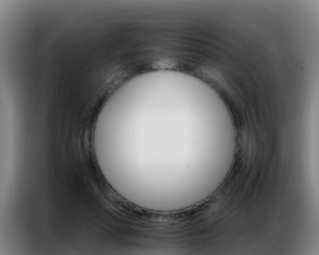 X0000086790598200704201845