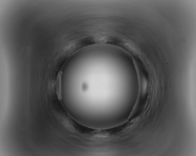 X0000086790601200704201845