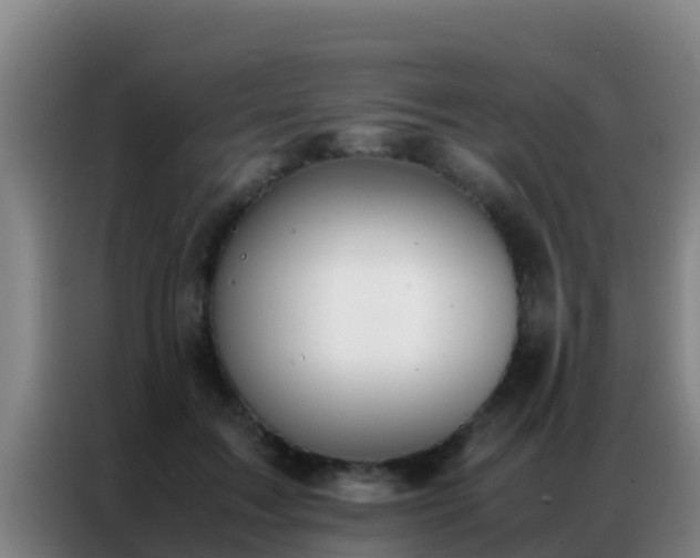 X0000086790603200704201845