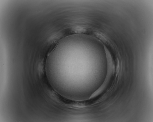 X0000086790604200704201845