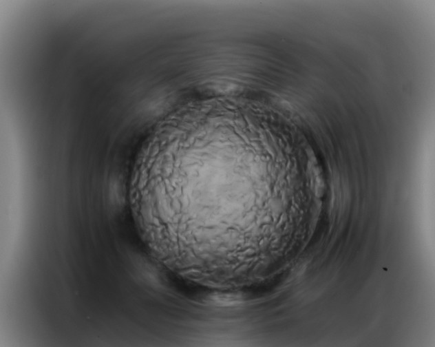 X0000086790606200704201845