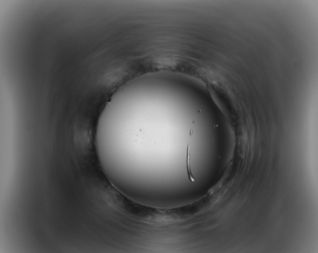 X0000086790608200704201845