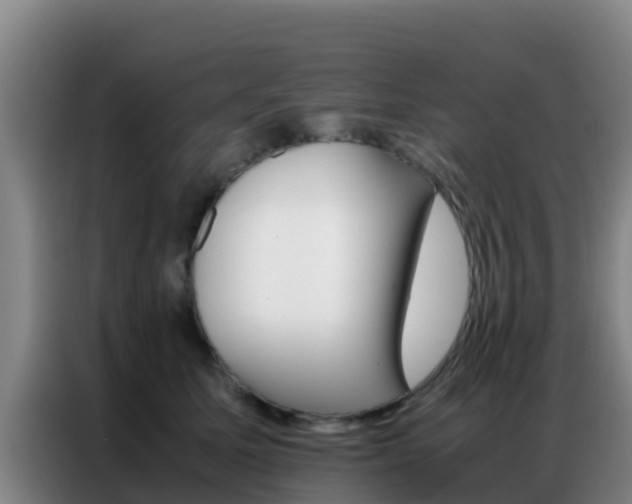 X0000086790611200704201845