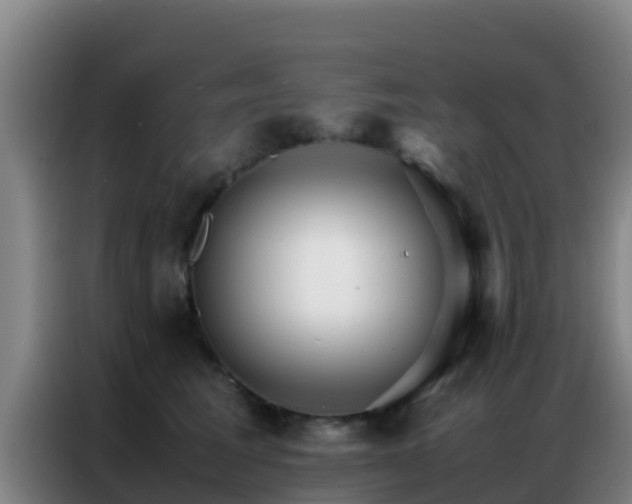 X0000086790613200704201845