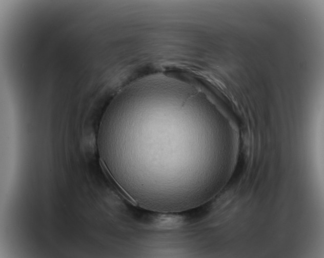 X0000086790617200704201845
