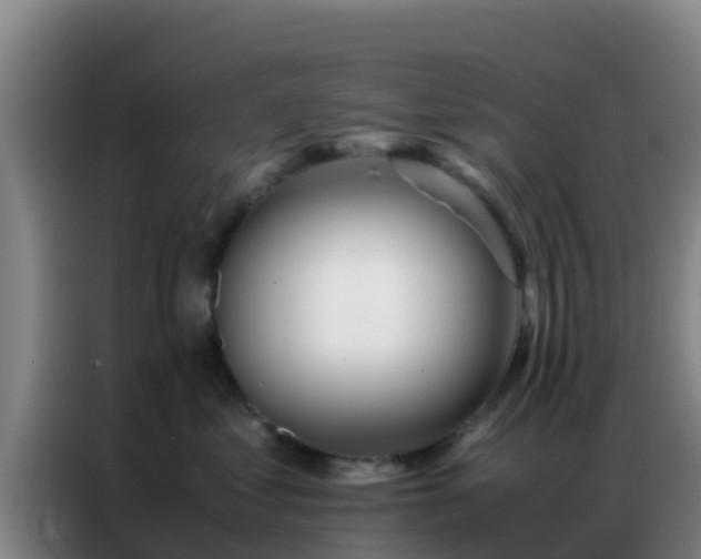 X0000086790621200704201845
