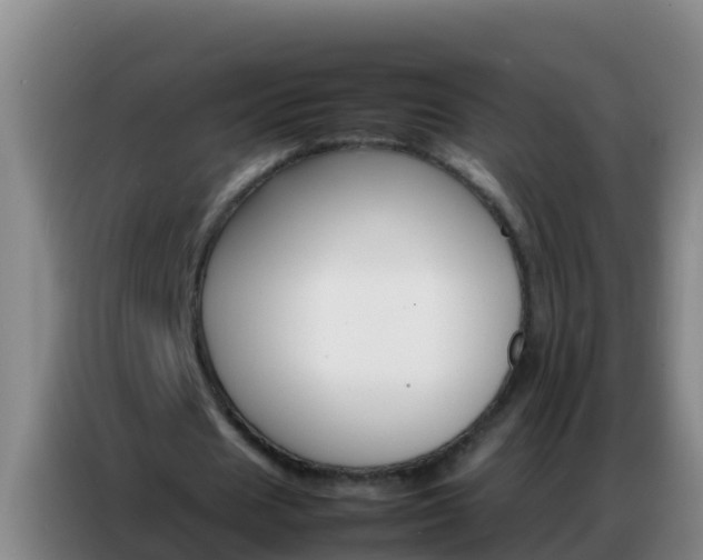 X0000086790625200704201844