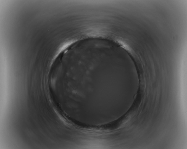 X0000086790626200704201844