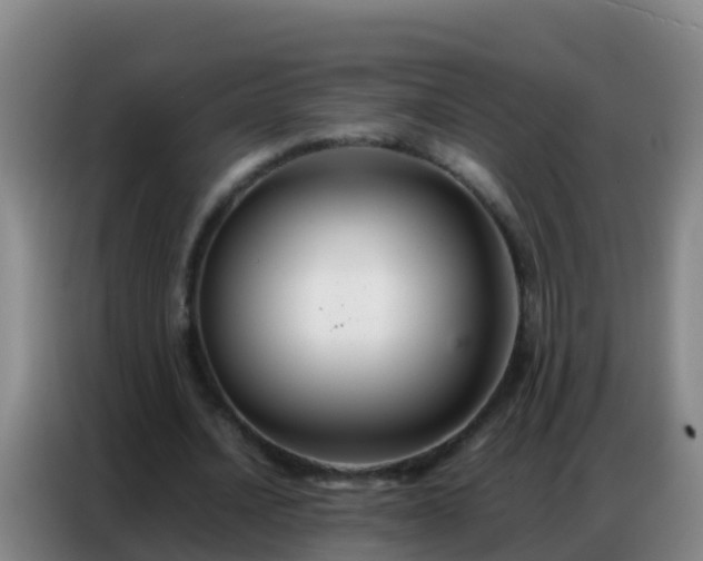 X0000086790628200704201844