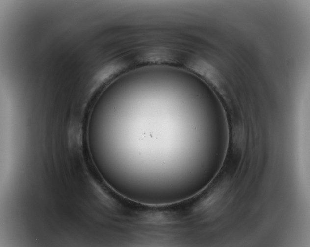 X0000086790629200704201844