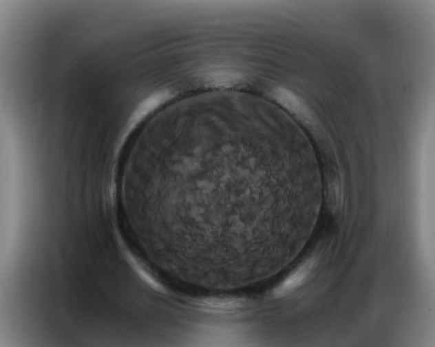 X0000086790630200704201844