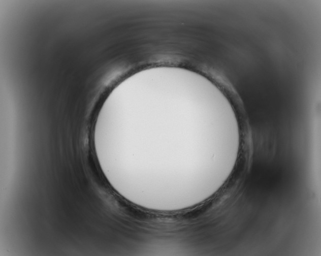 X0000086790632200704201844