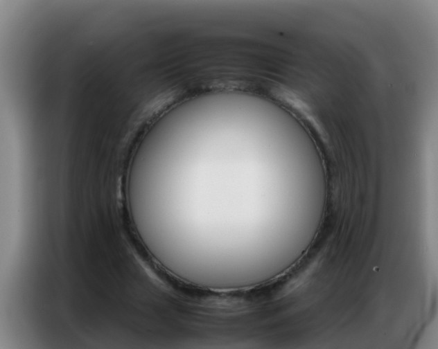 X0000086790633200704201844