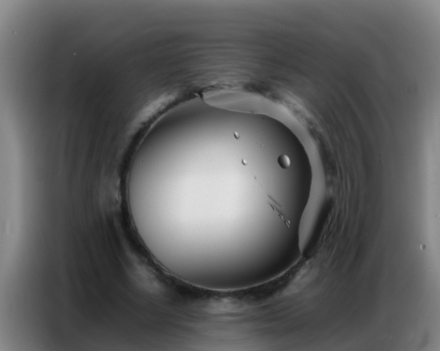 X0000086790634200704201844
