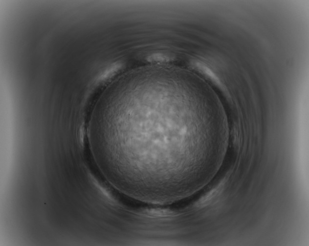 X0000086790637200704201844