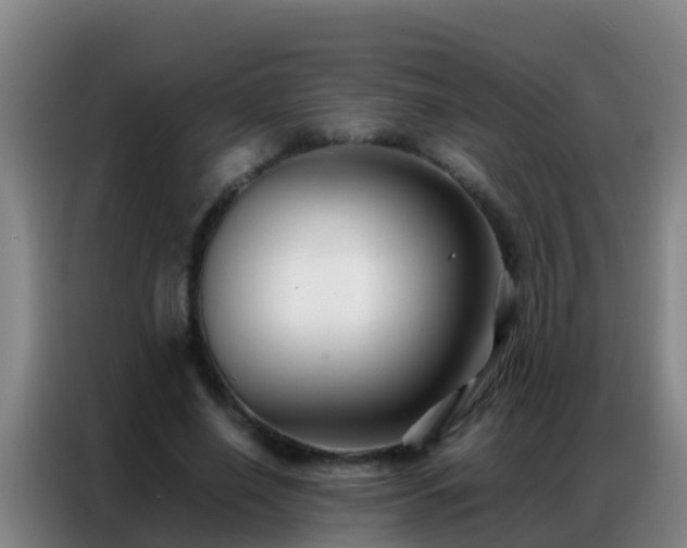 X0000086790638200704201844